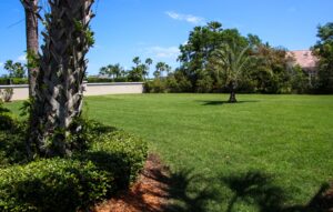 Sod Installation