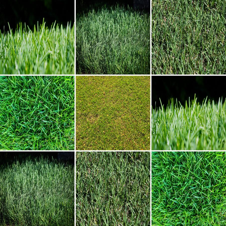 South Florida Grass Types