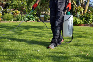 Lawn Treatments in West Palm Beach, FL