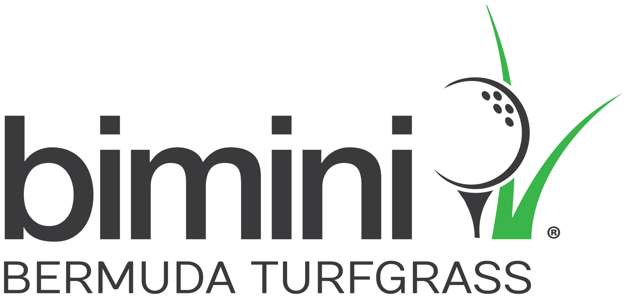 Bimini Bermuda sod