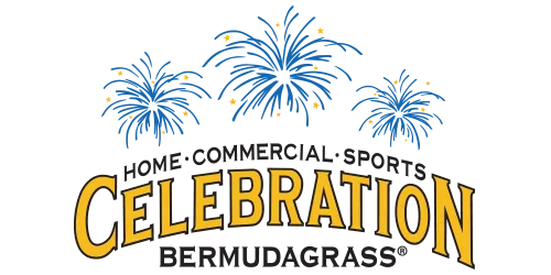 Celebration Bermuda sod