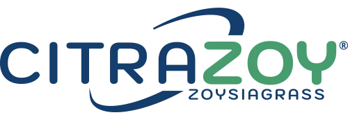CitraZoy Zoysia sod