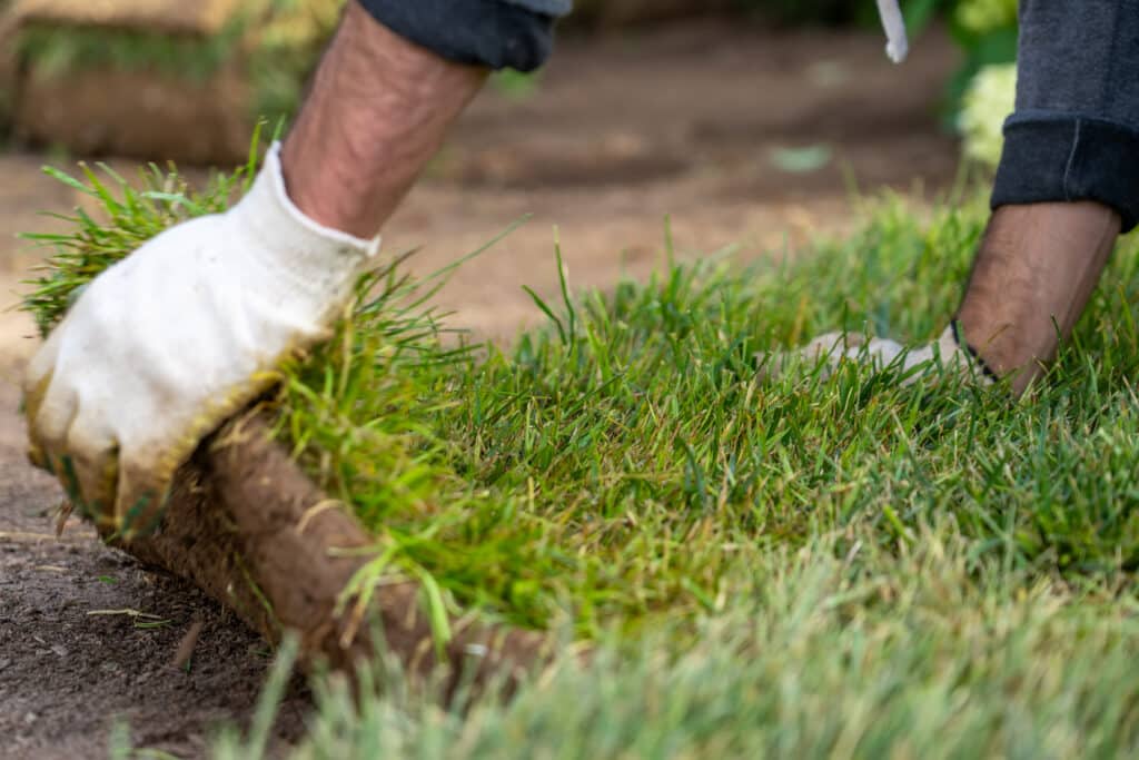 Common Sod Installation Mistakes